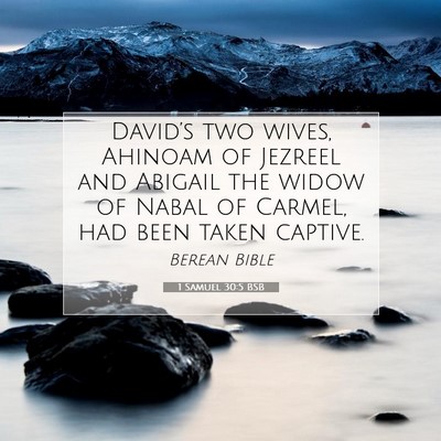 Picture 07 - 1 Samuel 30:5 BSB - David’s two wives, Ahinoam of Jezreel and - Bible Verse Picture
