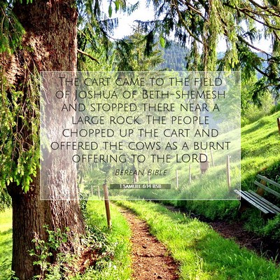 Picture 07 - 1 Samuel 6:14 BSB - The cart came to the field of Joshua of - Bible Verse Picture