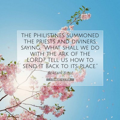 Picture 07 - 1 Samuel 6:2 BSB - the Philistines summoned the priests and - Bible Verse Picture