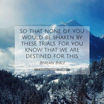 Picture 07 - 1 Thessalonians 3:3 BSB - so that none of you would be shaken by these - Bible Verse Picture