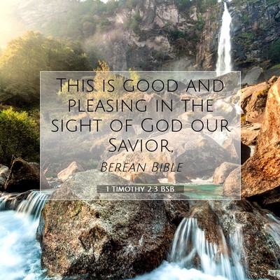 Picture 07 - 1 Timothy 2:3 BSB - This is good and pleasing in the sight of God our - Bible Verse Picture