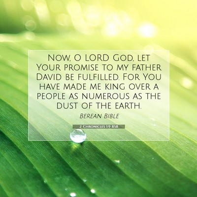 Picture 07 - 2 Chronicles 1:9 BSB - Now, O LORD God, let Your promise to my father - Bible Verse Picture