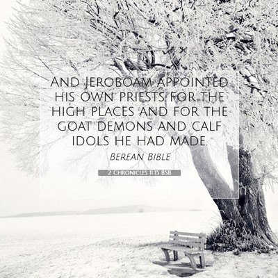 Picture 07 - 2 Chronicles 11:15 BSB - And Jeroboam appointed his own priests for the - Bible Verse Picture