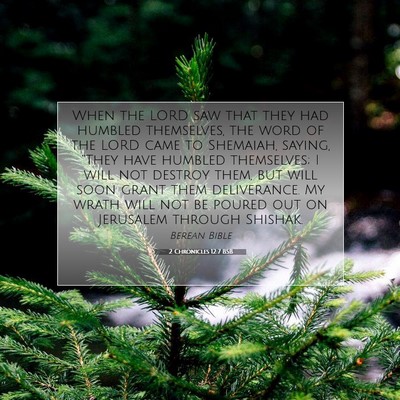 Picture 07 - 2 Chronicles 12:7 BSB - When the LORD saw that they had humbled - Bible Verse Picture