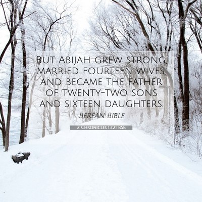 Picture 07 - 2 Chronicles 13:21 BSB - But Abijah grew strong, married fourteen wives, - Bible Verse Picture
