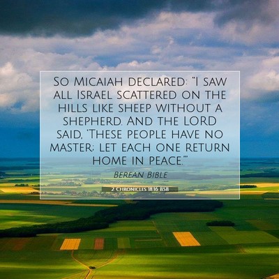 Picture 07 - 2 Chronicles 18:16 BSB - So Micaiah declared: “I saw all Israel - Bible Verse Picture
