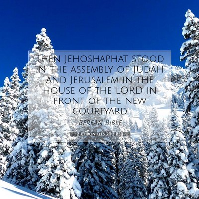 Picture 07 - 2 Chronicles 20:5 BSB - Then Jehoshaphat stood in the assembly of Judah - Bible Verse Picture
