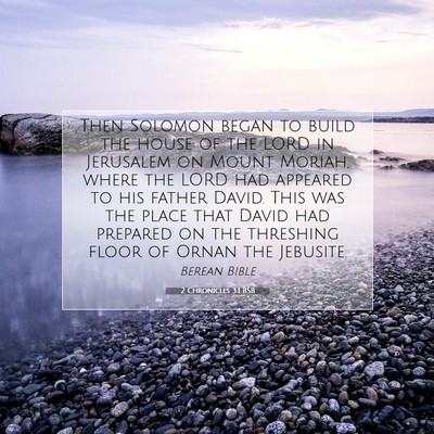 Picture 07 - 2 Chronicles 3:1 BSB - Then Solomon began to build the house of the LORD - Bible Verse Picture