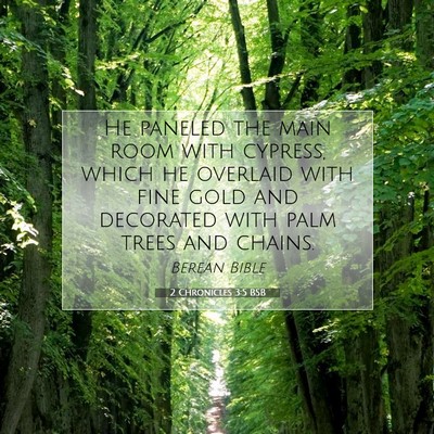 Picture 07 - 2 Chronicles 3:5 BSB - He paneled the main room with cypress, which he - Bible Verse Picture