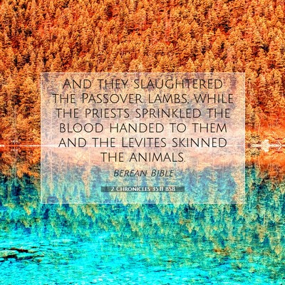 Picture 07 - 2 Chronicles 35:11 BSB - And they slaughtered the Passover lambs, while - Bible Verse Picture