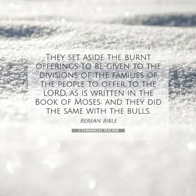 Picture 07 - 2 Chronicles 35:12 BSB - They set aside the burnt offerings to be given to - Bible Verse Picture