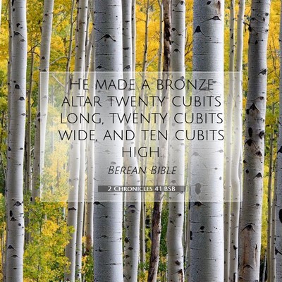 Picture 07 - 2 Chronicles 4:1 BSB - He made a bronze altar twenty cubits long, twenty - Bible Verse Picture