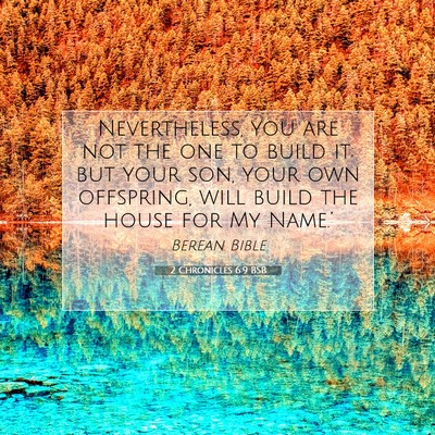 Picture 07 - 2 Chronicles 6:9 BSB - Nevertheless, you are not the one to build it; - Bible Verse Picture