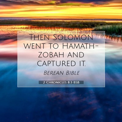 Picture 07 - 2 Chronicles 8:3 BSB - Then Solomon went to Hamath-zobah and captured - Bible Verse Picture