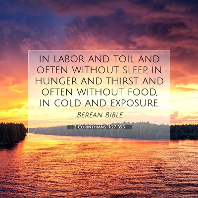 Picture 07 - 2 Corinthians 11:27 BSB - in labor and toil and often without sleep, in - Bible Verse Picture