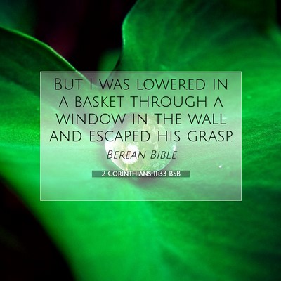 Picture 07 - 2 Corinthians 11:33 BSB - But I was lowered in a basket through a window in - Bible Verse Picture