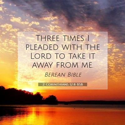 Picture 07 - 2 Corinthians 12:8 BSB - Three times I pleaded with the Lord to take it - Bible Verse Picture