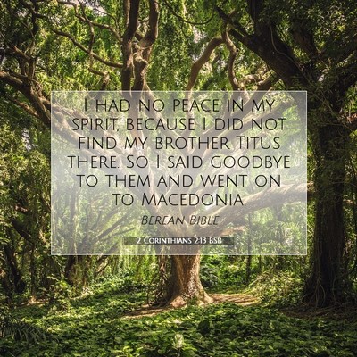 Picture 07 - 2 Corinthians 2:13 BSB - I had no peace in my spirit, because I did not - Bible Verse Picture