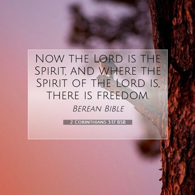 Picture 07 - 2 Corinthians 3:17 BSB - Now the Lord is the Spirit, and where the Spirit - Bible Verse Picture