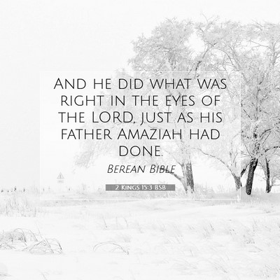 Picture 07 - 2 Kings 15:3 BSB - And he did what was right in the eyes of the - Bible Verse Picture