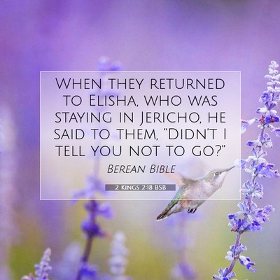 Picture 07 - 2 Kings 2:18 BSB - When they returned to Elisha, who was staying in - Bible Verse Picture