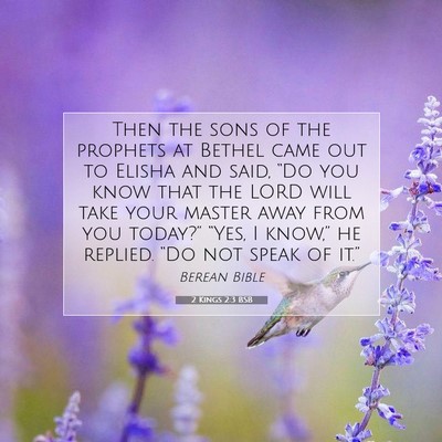 Picture 07 - 2 Kings 2:3 BSB - Then the sons of the prophets at Bethel came out - Bible Verse Picture