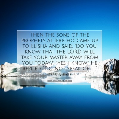 Picture 07 - 2 Kings 2:5 BSB - Then the sons of the prophets at Jericho came up - Bible Verse Picture