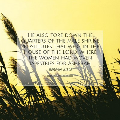 Picture 07 - 2 Kings 23:7 BSB - He also tore down the quarters of the male shrine - Bible Verse Picture