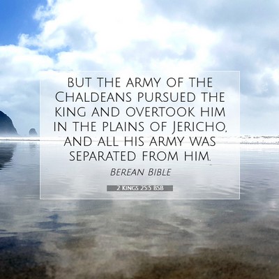 Picture 07 - 2 Kings 25:5 BSB - but the army of the Chaldeans pursued the king - Bible Verse Picture