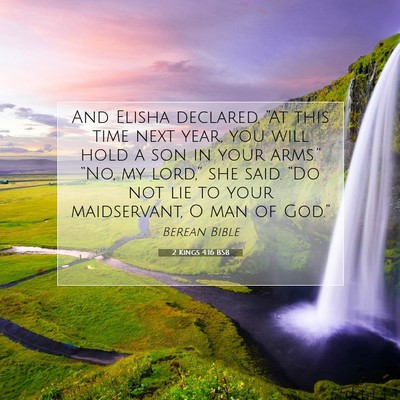 Picture 07 - 2 Kings 4:16 BSB - And Elisha declared, “At this time next year, - Bible Verse Picture