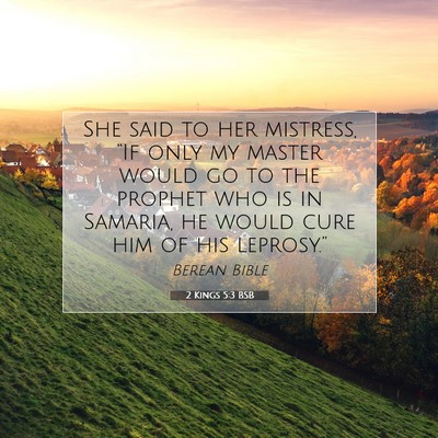 Picture 07 - 2 Kings 5:3 BSB - She said to her mistress, “If only my master - Bible Verse Picture