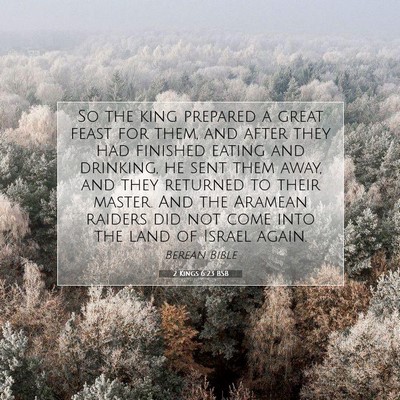 Picture 07 - 2 Kings 6:23 BSB - So the king prepared a great feast for them, and - Bible Verse Picture