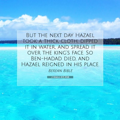 Picture 07 - 2 Kings 8:15 BSB - But the next day Hazael took a thick cloth, - Bible Verse Picture