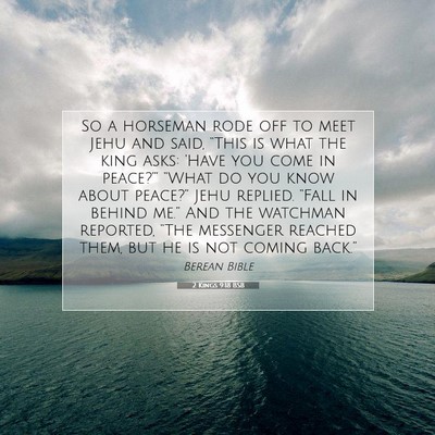 Picture 07 - 2 Kings 9:18 BSB - So a horseman rode off to meet Jehu and said, - Bible Verse Picture