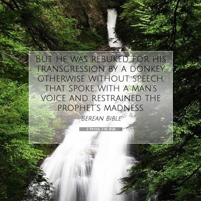 Picture 07 - 2 Peter 2:16 BSB - But he was rebuked for his transgression by a - Bible Verse Picture
