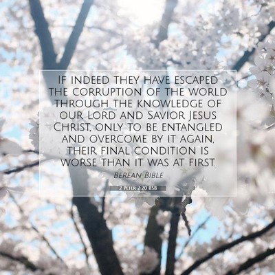 Picture 07 - 2 Peter 2:20 BSB - If indeed they have escaped the corruption of the - Bible Verse Picture