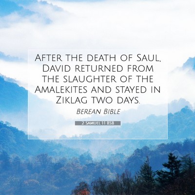 Picture 07 - 2 Samuel 1:1 BSB - After the death of Saul, David returned from the - Bible Verse Picture