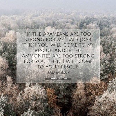 Picture 07 - 2 Samuel 10:11 BSB - “If the Arameans are too strong for me,” said - Bible Verse Picture