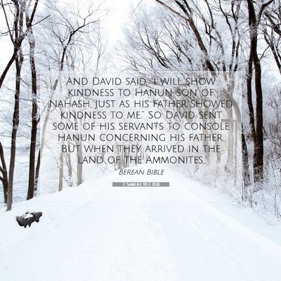 Picture 07 - 2 Samuel 10:2 BSB - And David said, “I will show kindness to Hanun - Bible Verse Picture
