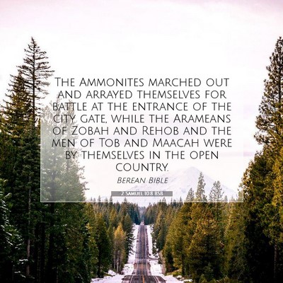 Picture 07 - 2 Samuel 10:8 BSB - The Ammonites marched out and arrayed themselves - Bible Verse Picture