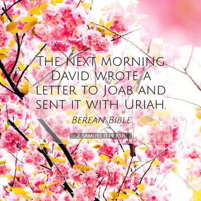 Picture 07 - 2 Samuel 11:14 BSB - The next morning David wrote a letter to Joab and - Bible Verse Picture