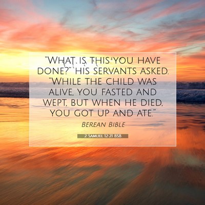 Picture 07 - 2 Samuel 12:21 BSB - “What is this you have done?” his servants - Bible Verse Picture
