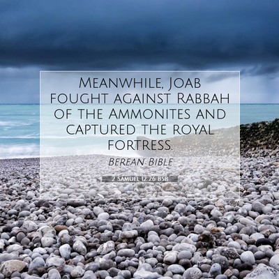 Picture 07 - 2 Samuel 12:26 BSB - Meanwhile, Joab fought against Rabbah of the - Bible Verse Picture