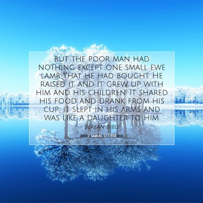 Picture 07 - 2 Samuel 12:3 BSB - but the poor man had nothing except one small ewe - Bible Verse Picture