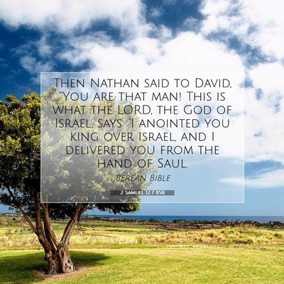 Picture 07 - 2 Samuel 12:7 BSB - Then Nathan said to David, “You are that man! - Bible Verse Picture