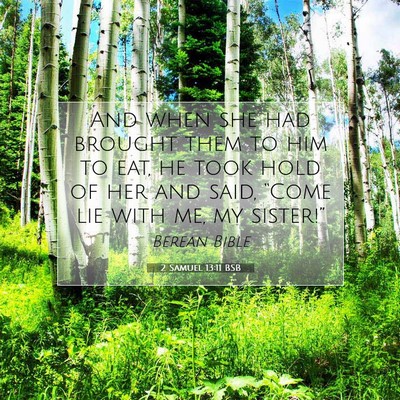 Picture 07 - 2 Samuel 13:11 BSB - And when she had brought them to him to eat, he - Bible Verse Picture