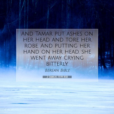 Picture 07 - 2 Samuel 13:19 BSB - And Tamar put ashes on her head and tore her - Bible Verse Picture