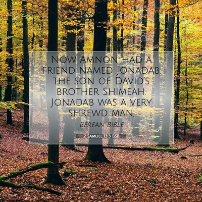 Picture 07 - 2 Samuel 13:3 BSB - Now Amnon had a friend named Jonadab, the son of - Bible Verse Picture