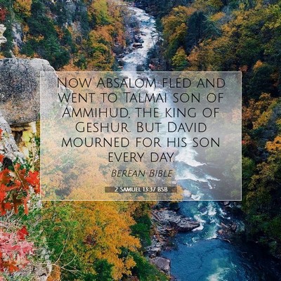 Picture 07 - 2 Samuel 13:37 BSB - Now Absalom fled and went to Talmai son of - Bible Verse Picture