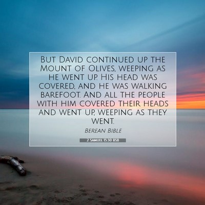 Picture 07 - 2 Samuel 15:30 BSB - But David continued up the Mount of Olives, - Bible Verse Picture